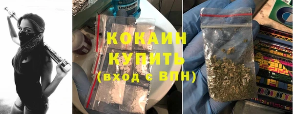 Альфа ПВП Осинники